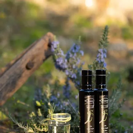 בית חווה Bellandi *