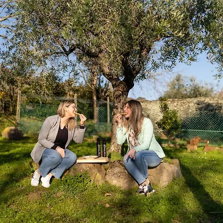 בית חווה Bellandi Santa Lucia (Lucca)