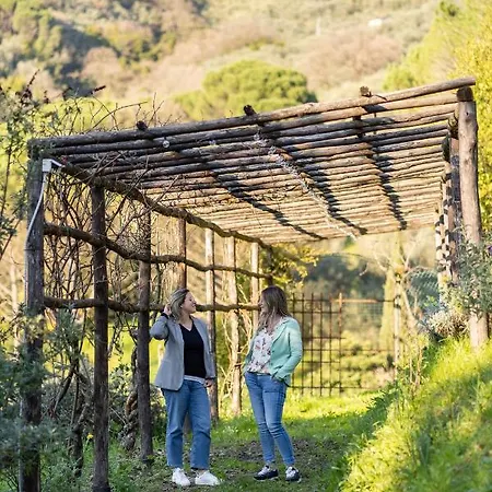 Bellandi בית חווה Santa Lucia (Lucca)