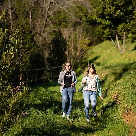 Bellandi * Santa Lucia (Lucca)