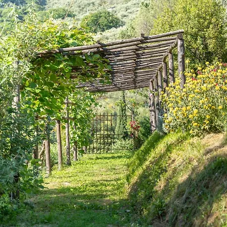 Bellandi Farm stay *