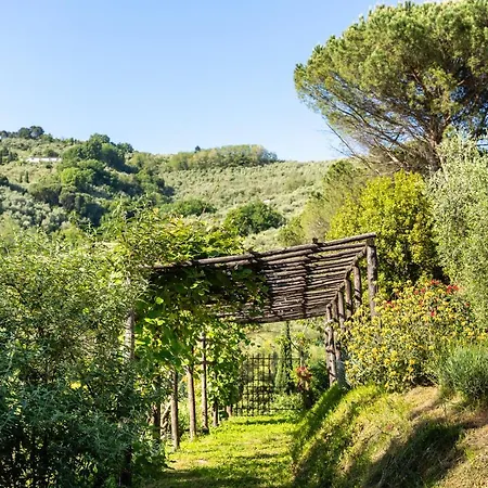 Bellandi * Santa Lucia (Lucca)