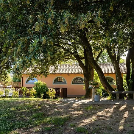 Farma Bellandi Santa Lucia (Lucca)