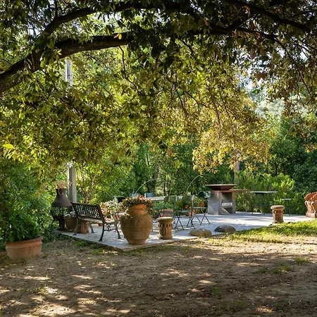 Bellandi Santa Lucia (Lucca)