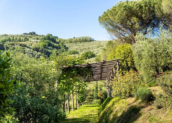 Bellandi * Santa Lucia (Lucca)